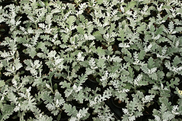 Similar image 1280271