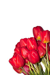 Similar image 1280277