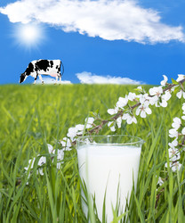 Similar image 1280278