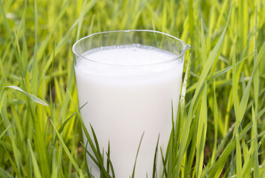 Similar image 1280283