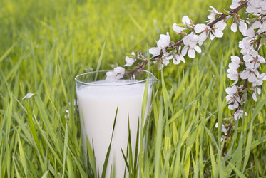 Similar image 1280284