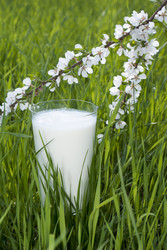 Similar image 1280287