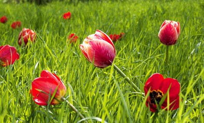 Similar image 1280288