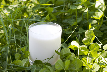 Similar image 1280289