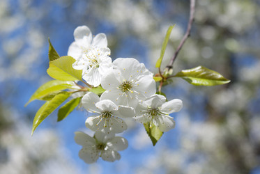 Similar image 1280303