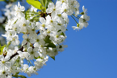 Similar image 1280305