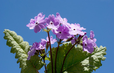 Similar image 1280308