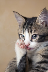 Similar image 1280312