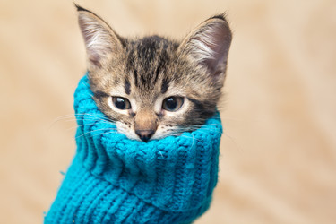 Similar image 1280313