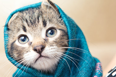 Similar image 1280314