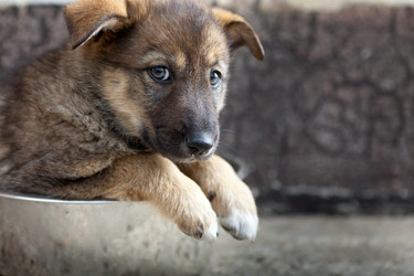 Similar image 1280315