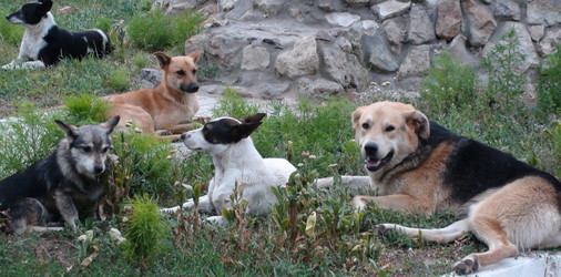 Similar image 1280347