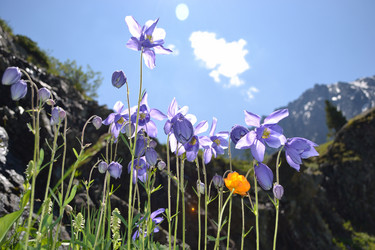 Similar image 1280359