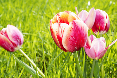 Similar image 1280395