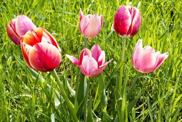 Similar image 1280397