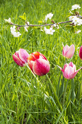 Similar image 1280398