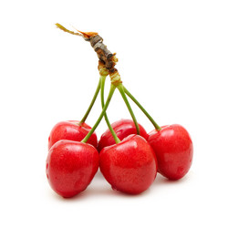 Similar image 1280405