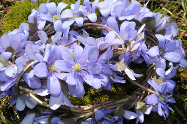 Similar image 1280407