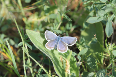 Similar image 1280425