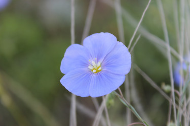 Similar image 1280426