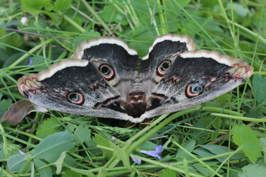 Similar image 1280427