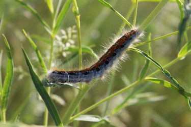 Similar image 1280429