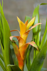 Similar image 1280443