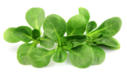 Similar image 1280452