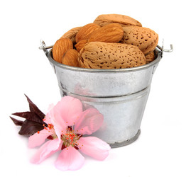 Similar image 1280462