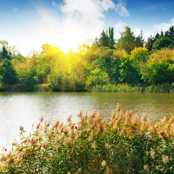 Similar image 1280465