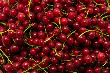 Similar image 1280468