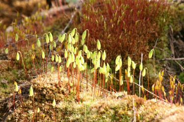 Similar image 1280473