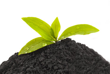 Similar image 1280475