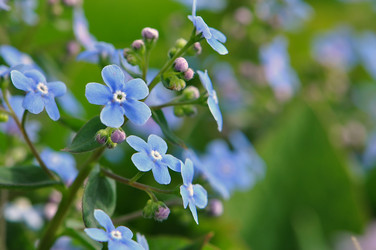 Similar image 1280483