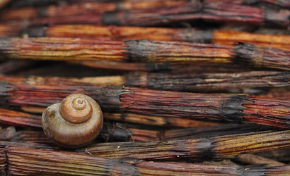 Similar image 1280486