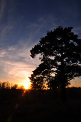 Similar image 1280487