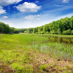 Similar image 1280491