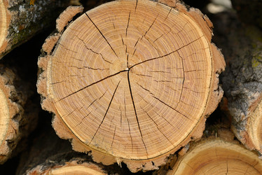 Similar image 1280494