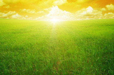 Similar image 1280501