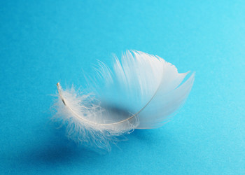 Similar image 1280573