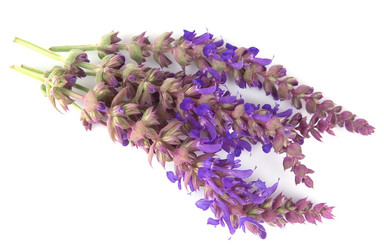 Similar image 1280633