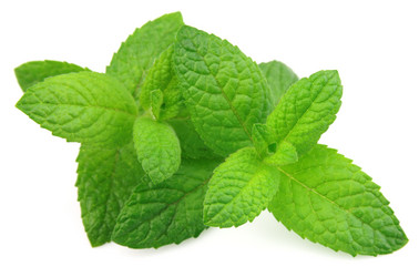 Similar image 1280634