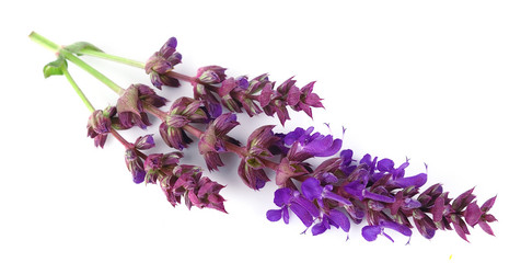 Similar image 1280635