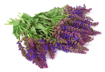 Similar image 1280636