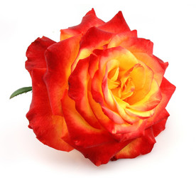 Similar image 1280644