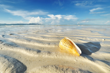 Similar image 1280683