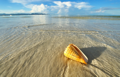 Similar image 1280684