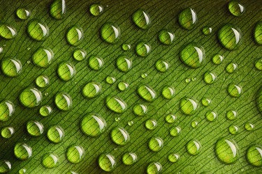 Similar image 1280708