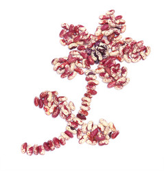 Similar image 1280732