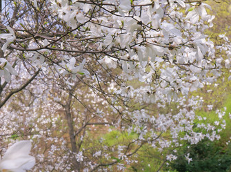 Similar image 1280735